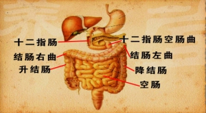 养生堂20130328视频:赵荣莱,翟兴红讲腹胀是什么原因引起、气实型的腹胀常见症状、气湿 ...