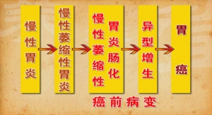 养生堂20130327视频:赵荣莱 翟兴红讲什么是胃胀、胃痞的特点、胃痞证的症状、脾胃湿热 ...