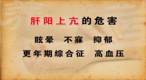养生堂20130321视频:王素梅讲肝阳上亢的危害、造成肝阳上亢体质的原因、肝阳上亢体质  ...