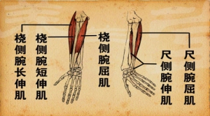 养生堂20130318视频和笔记:李方祥讲
