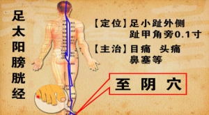 养生堂20131007视频和笔记:庞承泽讲介绍视力下降的原因、曹氏经穴按摩的特色