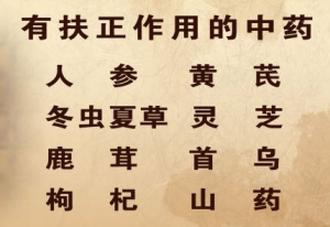 养生堂20130313视频:李忠讲抗癌防癌、膏药的功能、适应症、禁忌、注意事项