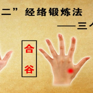 养生堂20130307视频:郝万山讲自我调节、顺序对应法、三一二经络锻炼法