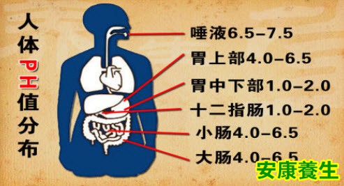 PH值