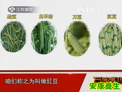 扁豆的品种