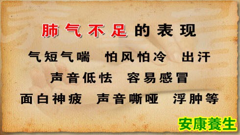 肺气不足的表现