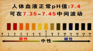 养生堂20131010视频:陈嘉林讲酸碱体质、酸中毒常见症状、 碱中毒、素食对酸碱的影响