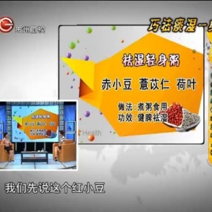 贵州卫视20130807养生视频：刘敏讲体内湿邪形成的原因、湿邪治疗的方法
