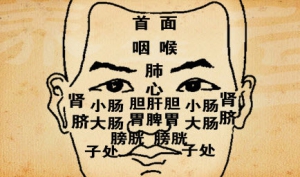 养生堂20131016视频:张广中讲皮肤出现异常与内脏疾病的关系、老年斑的危险、七白膏的  ...