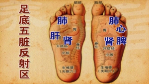 养生堂20131019视频:张广中讲如何保护足部、足底五脏反射区、杵状指的危害、手足皲裂