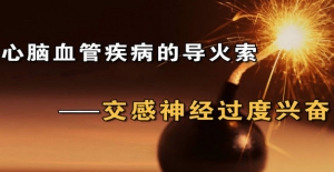 养生堂20131021视频:杨杰孚讲心脑血管疾病的诱因、交感神经兴奋导致疾病的抑制方法