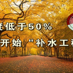 养生堂20131024视频:孙树侠 于仁文讲秋季该如何补水、大麦茶的功效、如何锁水、胶原蛋 ...