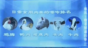 健康之路20131024视频:陈伟讲痛风患者食用的肉类、怎么吃烤肉、海鲜、降低嘌呤的烹饪  ...