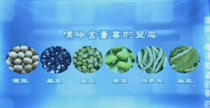 健康之路20131025视频:陈伟讲痛风患者的主食、哪种调料最易诱发痛风、豆类嘌呤含量