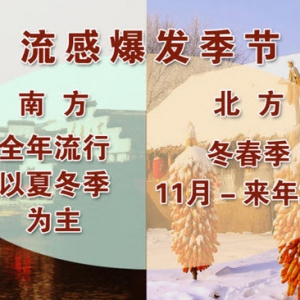 养生堂20131105视频:刘清泉讲流感与感冒的区别、对抗风寒的药物有哪些