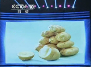 20131118健康之路视频和笔记:张晔讲巧吃冬季三宝(中)土豆的妙用