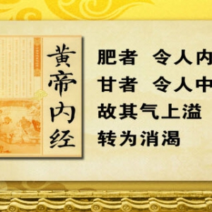 养生堂20131119视频:余瀛鳌 孙波讲糖尿病的症状、消渴症、糖尿病合并症