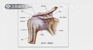 江苏卫视20131121万家灯火视频:陈红讲五十肩、诱发肩周炎的原因、肩周炎的症状