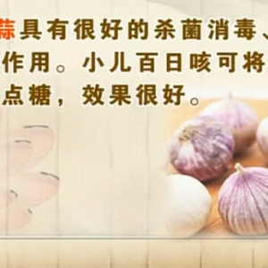 饮食养生汇20131125视频:王凤岐讲大蒜的作用、功效、不宜食蒜的人群、大蒜炒茄丝