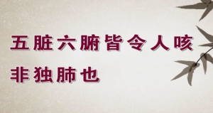 养生堂20131202视频：贾海忠讲咳嗽的不同种类、特点、五味子对治疗咳嗽的奇效