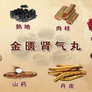 养生堂20131204视频:贾海忠讲金匮肾气丸、一味薯蓣饮、双山饮