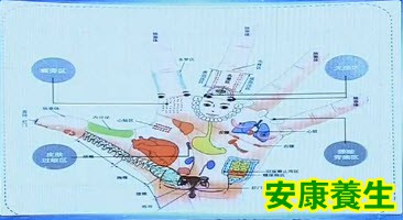 手指