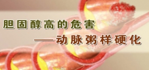 养生堂20131215视频和笔记:陈红讲胆固醇过高的危害、胆固醇升高的原因、动脉粥样硬化