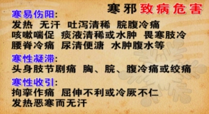 养生堂20131216视频:梁永宣,祝肇刚讲寒邪致病的危害,邪气与关节关系,屠苏酒的保健功效