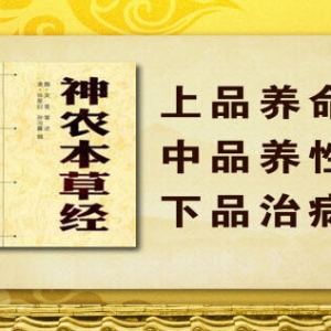 养生堂20131219视频和笔记:柳长华讲跟着古人学养生,神农本草经,灵芝的功效,姜的种类
