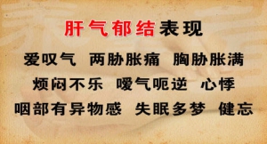 养生堂20131225视频和笔记:于作洋讲肝气郁结,肝风内动,疏肝花茶