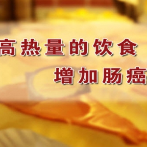 养生堂20131226视频和笔记:苏向前讲癌症的高危因素,饮食防癌,大肠癌,肥胖,便秘
