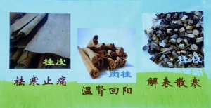 健康之路20131215视频和笔记:陈飞松讲手脚冰凉,肉桂,熟地,炮姜