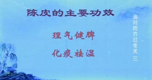 健康之路20131217视频和笔记:陈飞松讲陈皮,止咳化痰,白果,二陈丸