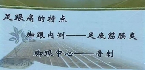 健康之路20131219视频和笔记:温建民讲足跟痛,足弓,骨刺,脚垫