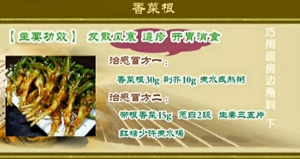 健康之路20131231视频和笔记:张斌讲香菜根,玉米须,藕节,葱白