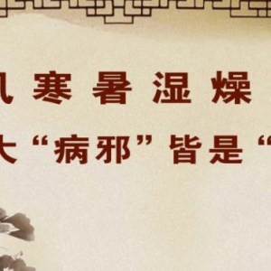 养生堂20140104视频和笔记:杨志旭讲毒邪入侵人体的特征,韭叶芸香,保暖,扶固正气
