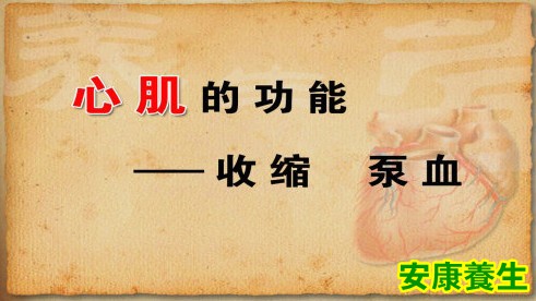心肌的功能