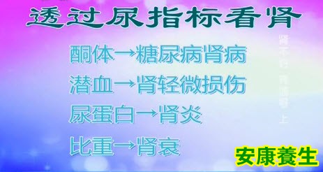 酮体、潜血、尿蛋白、比重这些指标代表什么