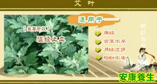 艾叶的功效