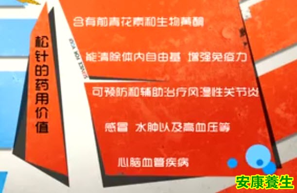 松针的功效