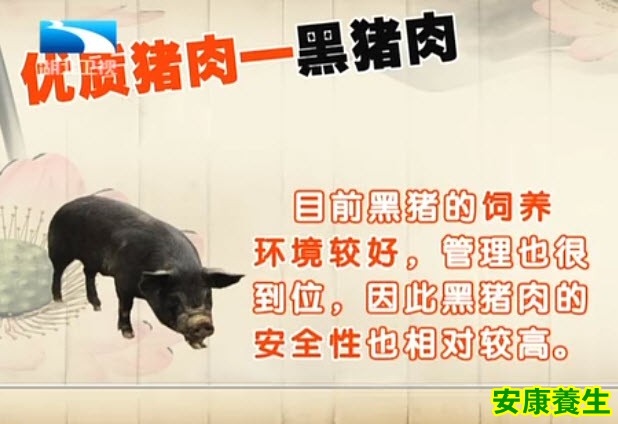 黑猪特点
