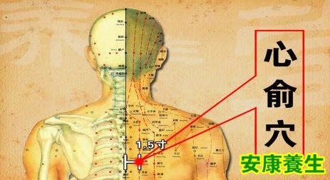 心俞穴