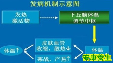 感冒发病机制
