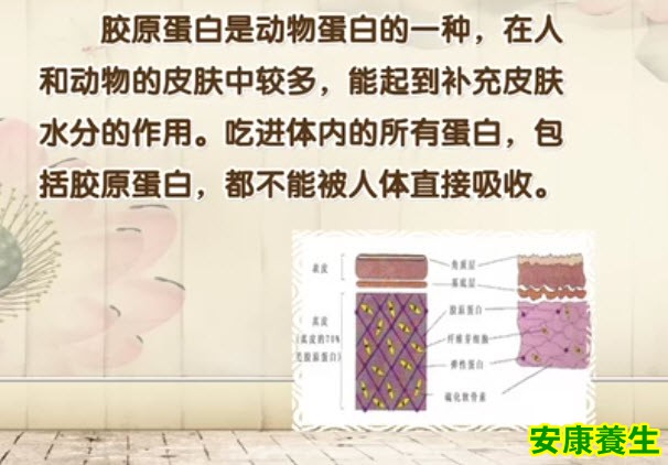 胶原蛋白