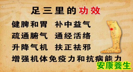 足三里