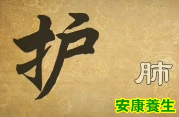 护肺