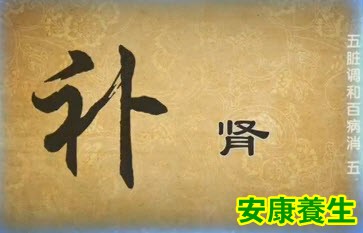 肾主补