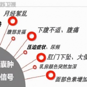 20140319万家灯火:王必勤讲警惕暖巢里的“不定时炸弹”,暖巢肿瘤、暖巢癌
