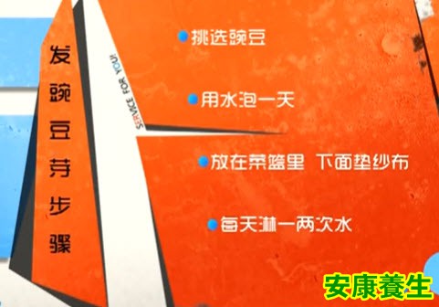如何发豌豆芽