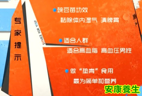 如何发豌豆芽